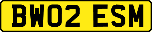 BW02ESM