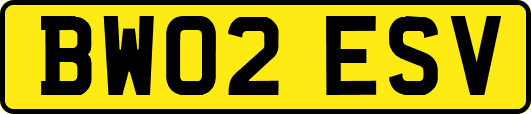 BW02ESV