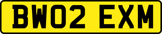 BW02EXM
