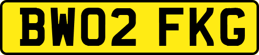 BW02FKG