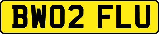 BW02FLU