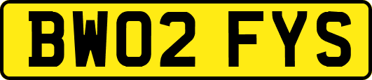 BW02FYS