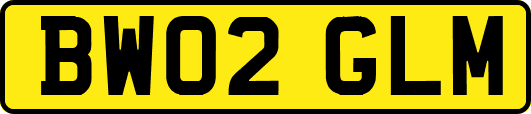 BW02GLM