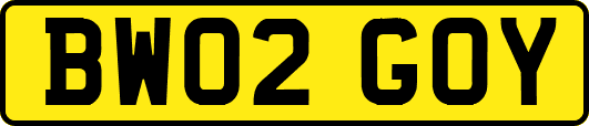BW02GOY