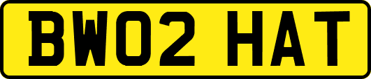 BW02HAT