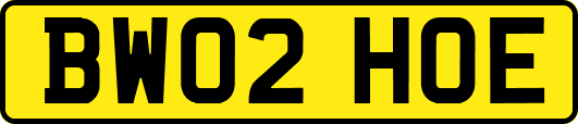 BW02HOE