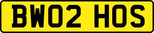 BW02HOS