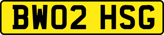 BW02HSG