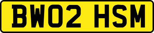 BW02HSM