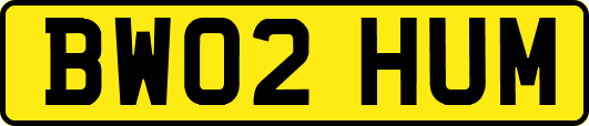 BW02HUM