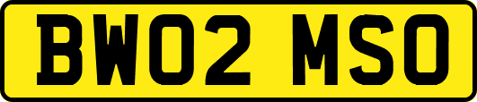 BW02MSO