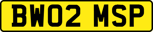 BW02MSP