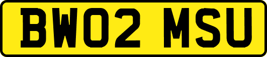 BW02MSU
