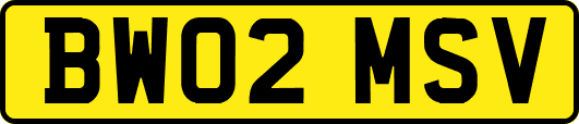 BW02MSV