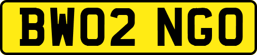 BW02NGO