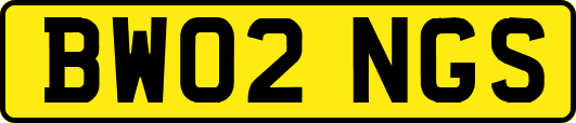 BW02NGS
