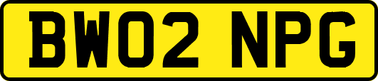 BW02NPG