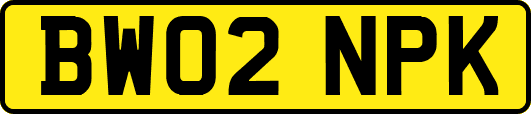 BW02NPK
