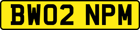BW02NPM