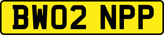BW02NPP