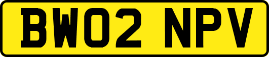 BW02NPV