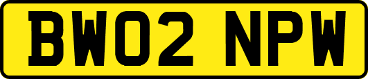 BW02NPW