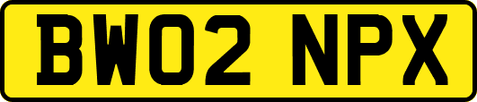 BW02NPX