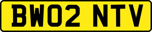 BW02NTV