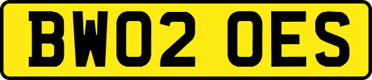BW02OES
