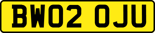 BW02OJU