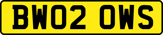 BW02OWS