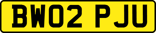 BW02PJU