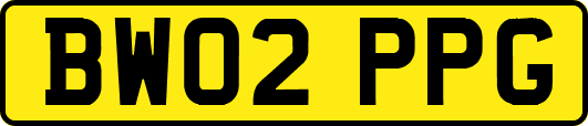 BW02PPG