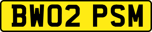 BW02PSM