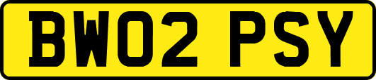 BW02PSY