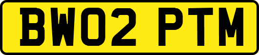 BW02PTM