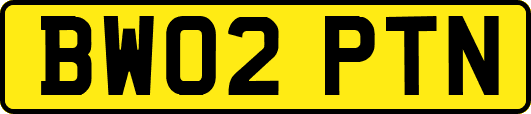 BW02PTN