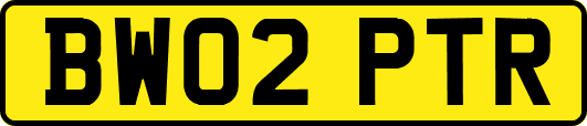 BW02PTR