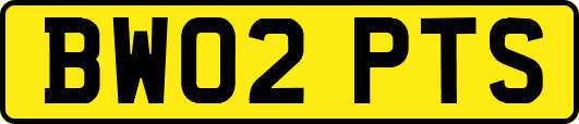 BW02PTS