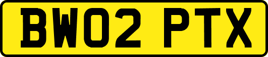 BW02PTX