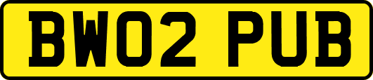 BW02PUB