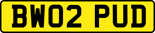 BW02PUD