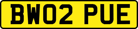 BW02PUE