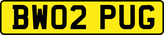 BW02PUG