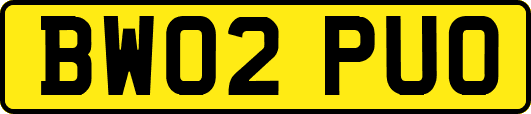 BW02PUO