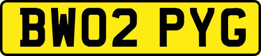 BW02PYG