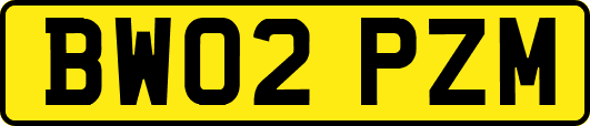 BW02PZM