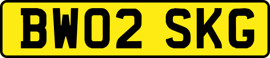 BW02SKG