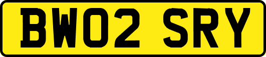 BW02SRY