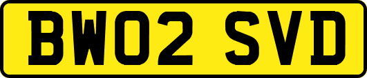 BW02SVD